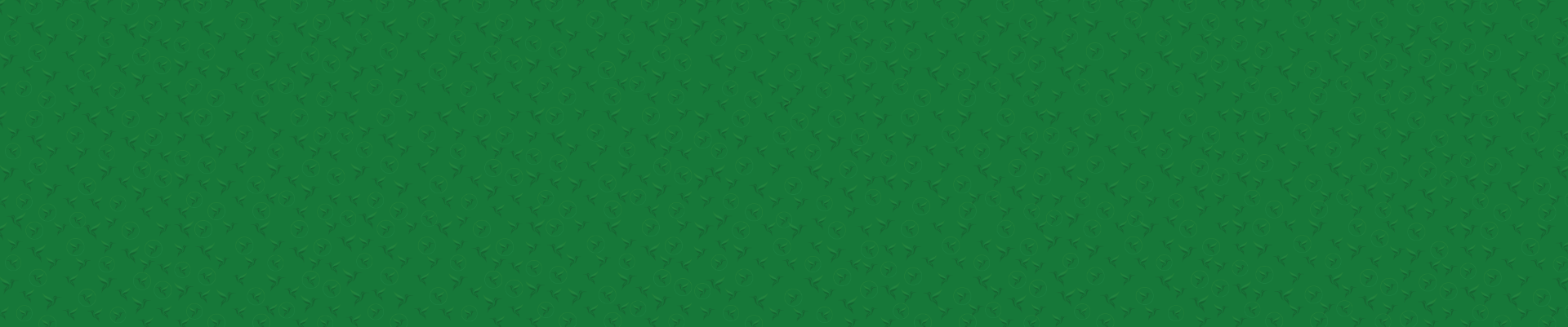 fond site bandeau 1920 x 401px vert