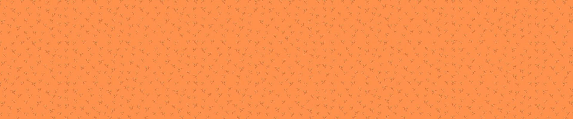 fond site bandeau 1920 x 401px orange