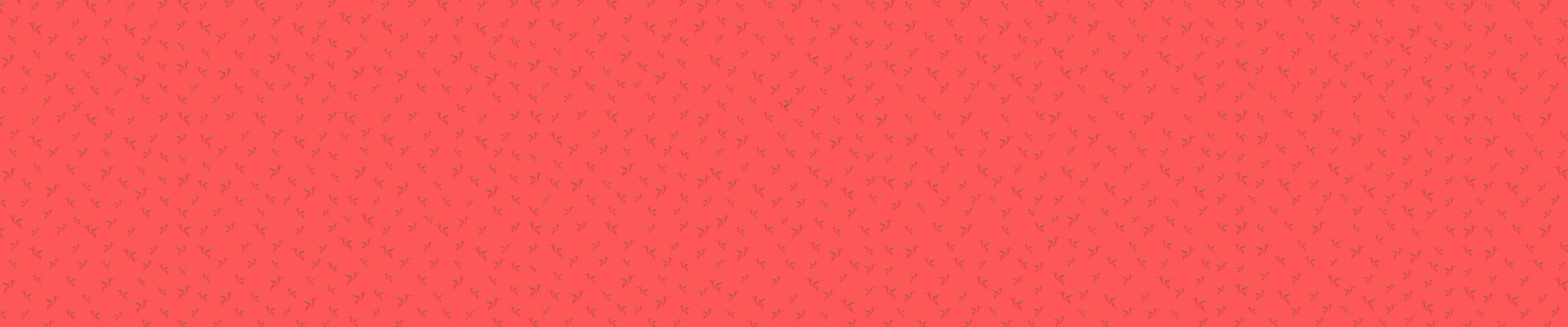 fond site bandeau 1920 x 401px rouge