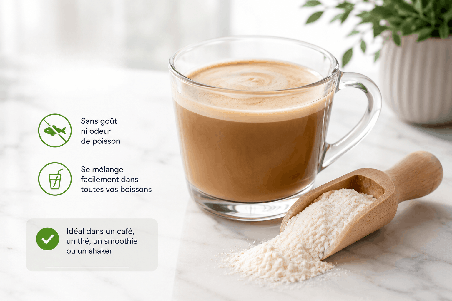 Collagène marin neutre dans un café