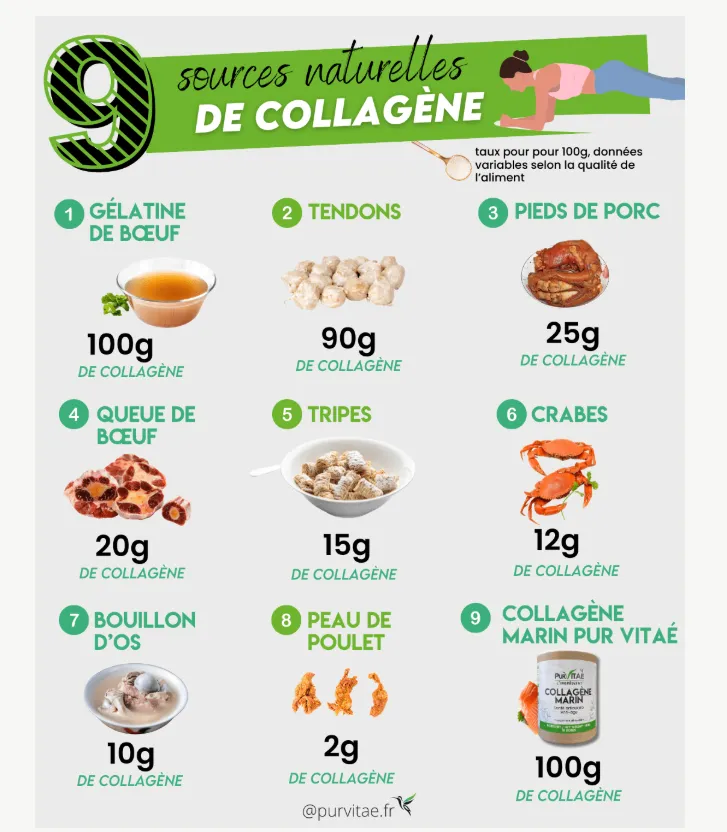 Sources naturelles de collagène marin et bovin – infographie Pur Vitaé
